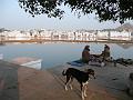 P1060585- Pushkar au petit matin